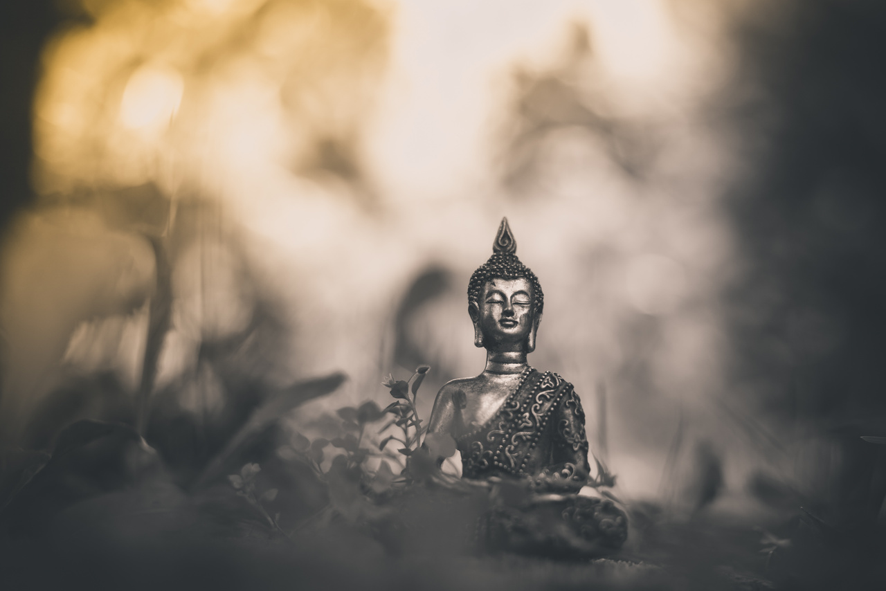 Buddha Meditation